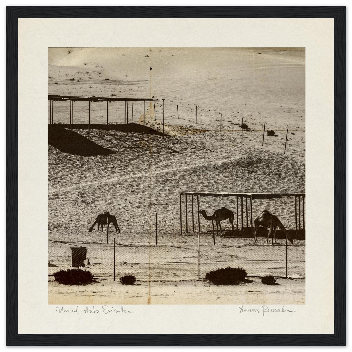 a46c81c9-94fd-4b03-a407-b6ea76d62528