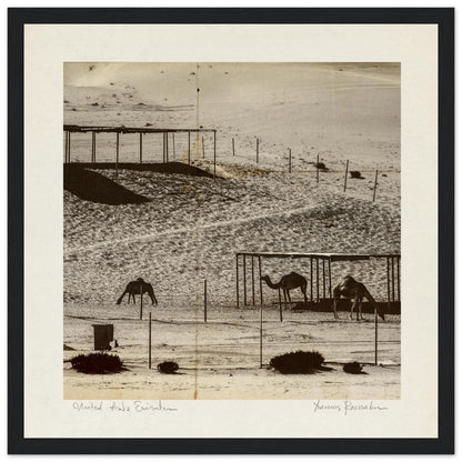 a46c81c9-94fd-4b03-a407-b6ea76d62528