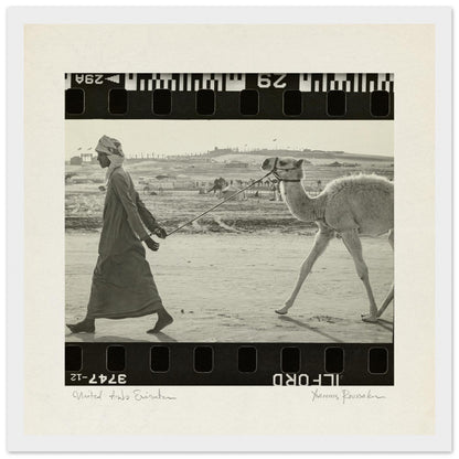 a5291274-b542-42d0-9ab6-09c28f33dc75