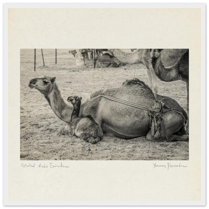 a5d51704-977f-4648-b801-d73de6744b8a