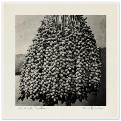 a77c4f08-0c0d-4a18-a20e-60982f42caf5