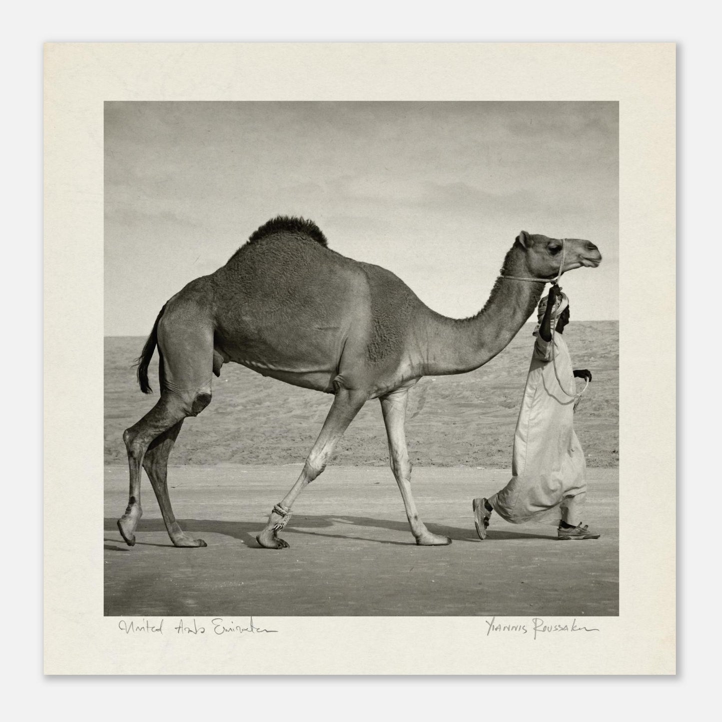 a78841fa-d220-4bc8-bd5d-4abd46379e29