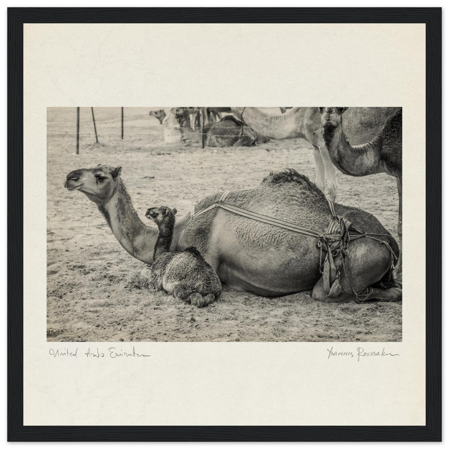 a8a68fd1-276c-4527-b881-68d29823411e