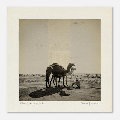 a8b49a94-542c-48da-875b-f8a2f2360c1e