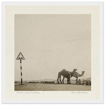 a96be643-aaed-4484-aaaa-450038307c5d