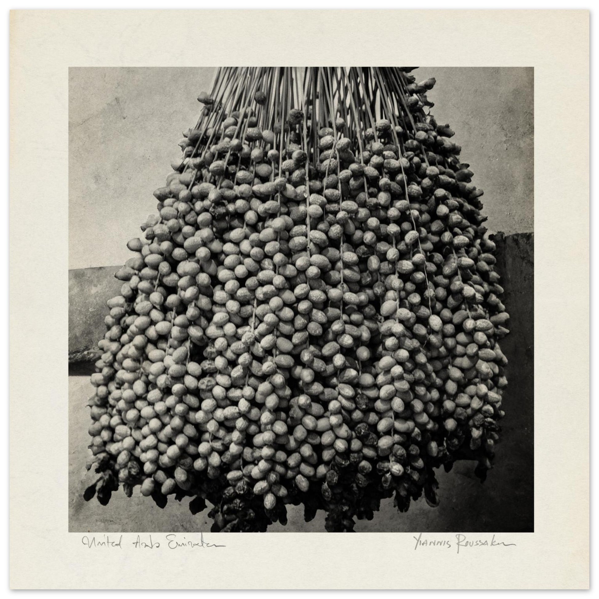 ab43fcd3-186a-470a-9b98-63bd241dc64a