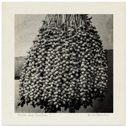 ab43fcd3-186a-470a-9b98-63bd241dc64a