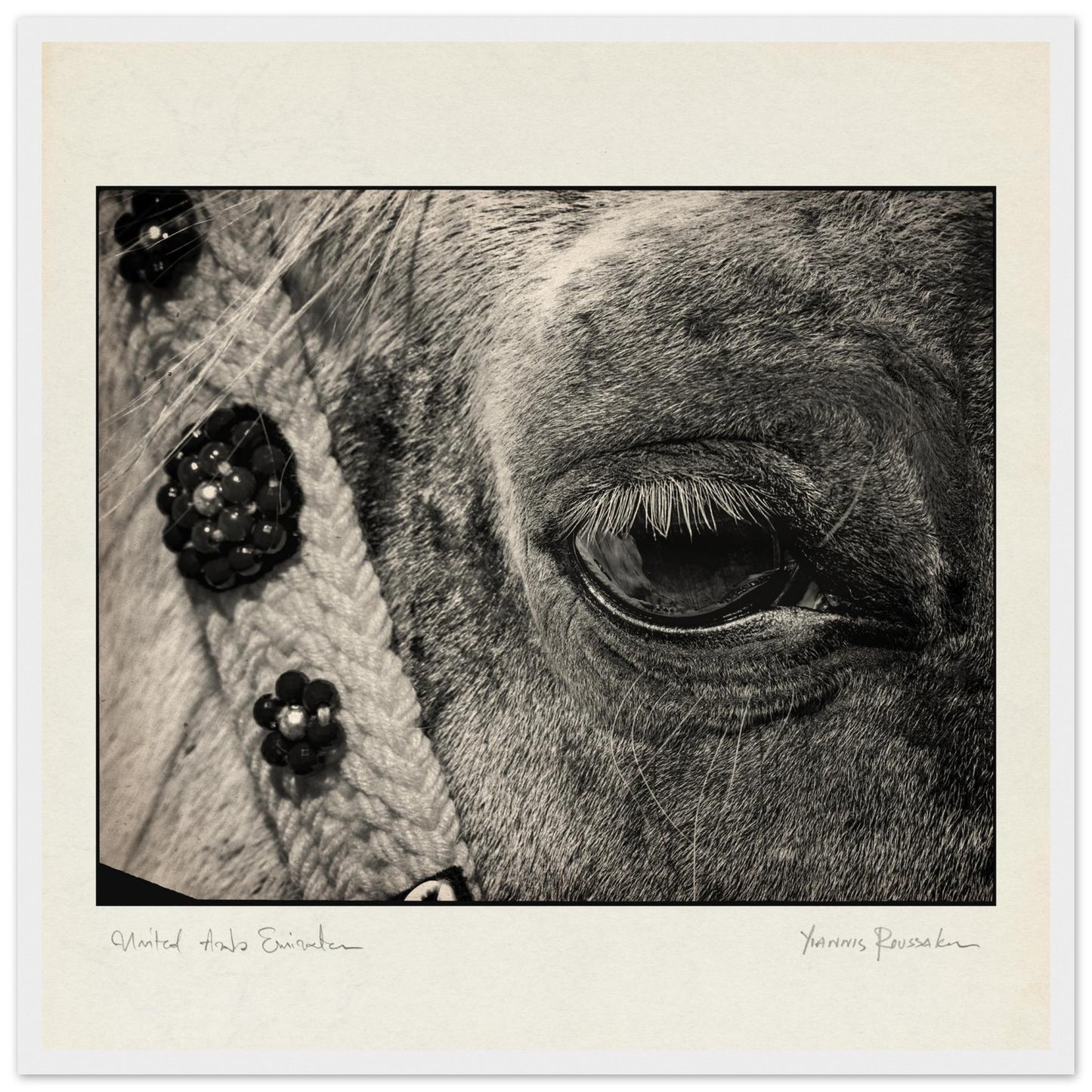 ac436d95-a8a4-4e4f-89ae-62aa2c7b0278