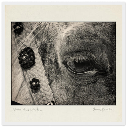 ac436d95-a8a4-4e4f-89ae-62aa2c7b0278