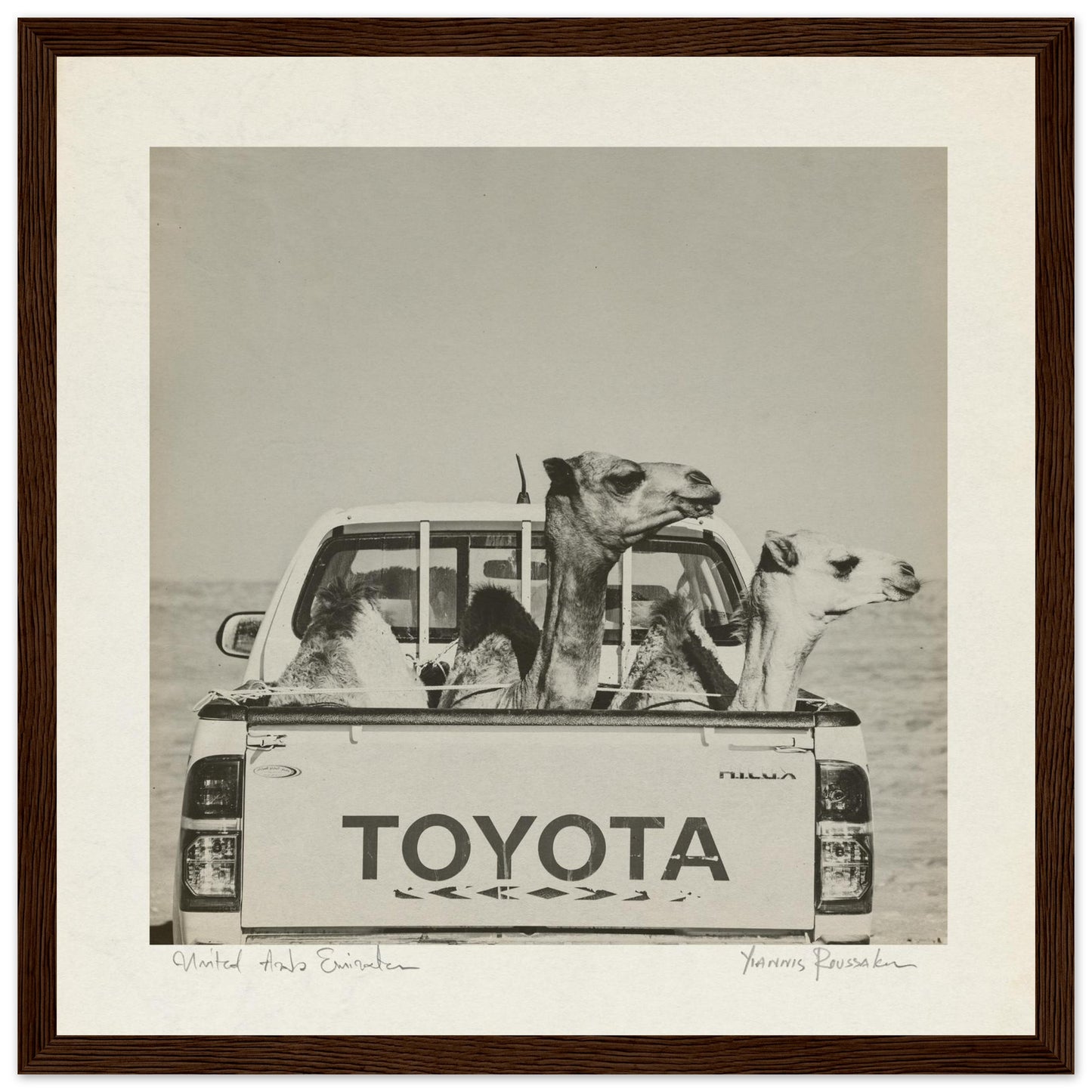 acaaa65a-3fd5-4038-a6f6-a44d05819219