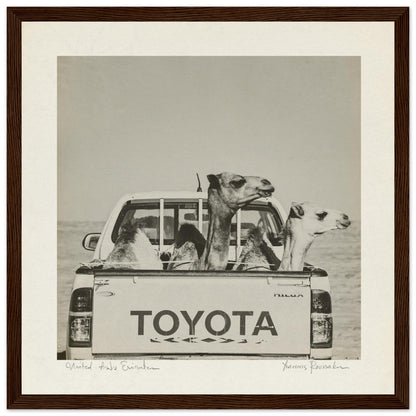 acaaa65a-3fd5-4038-a6f6-a44d05819219