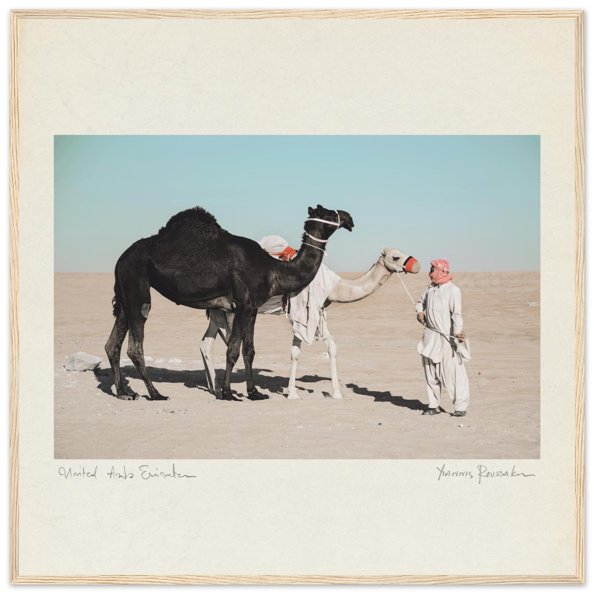 acc49037-f9df-4e98-906c-eb5caf1d4cd0