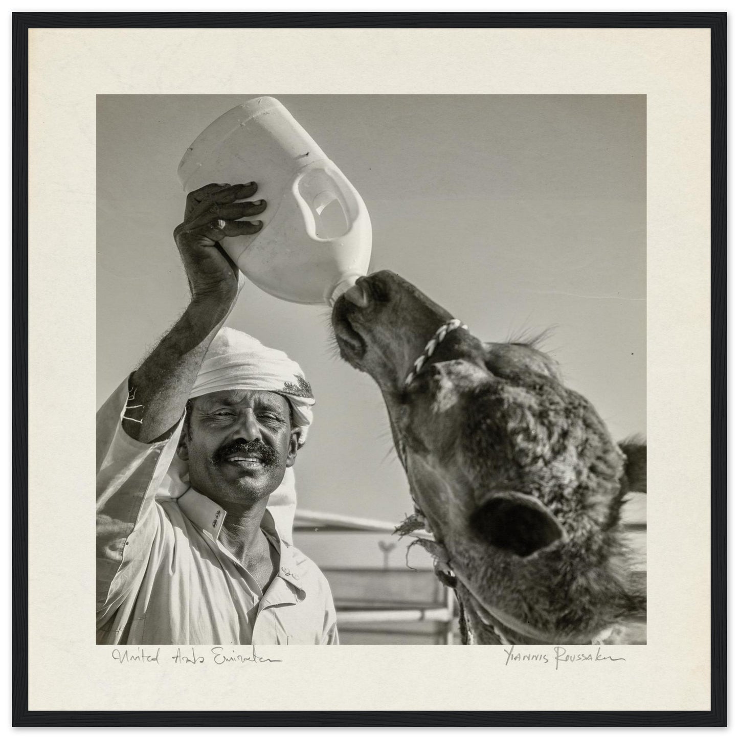 ace0a8bd-b9e3-46b9-8b34-3b157c4249b0