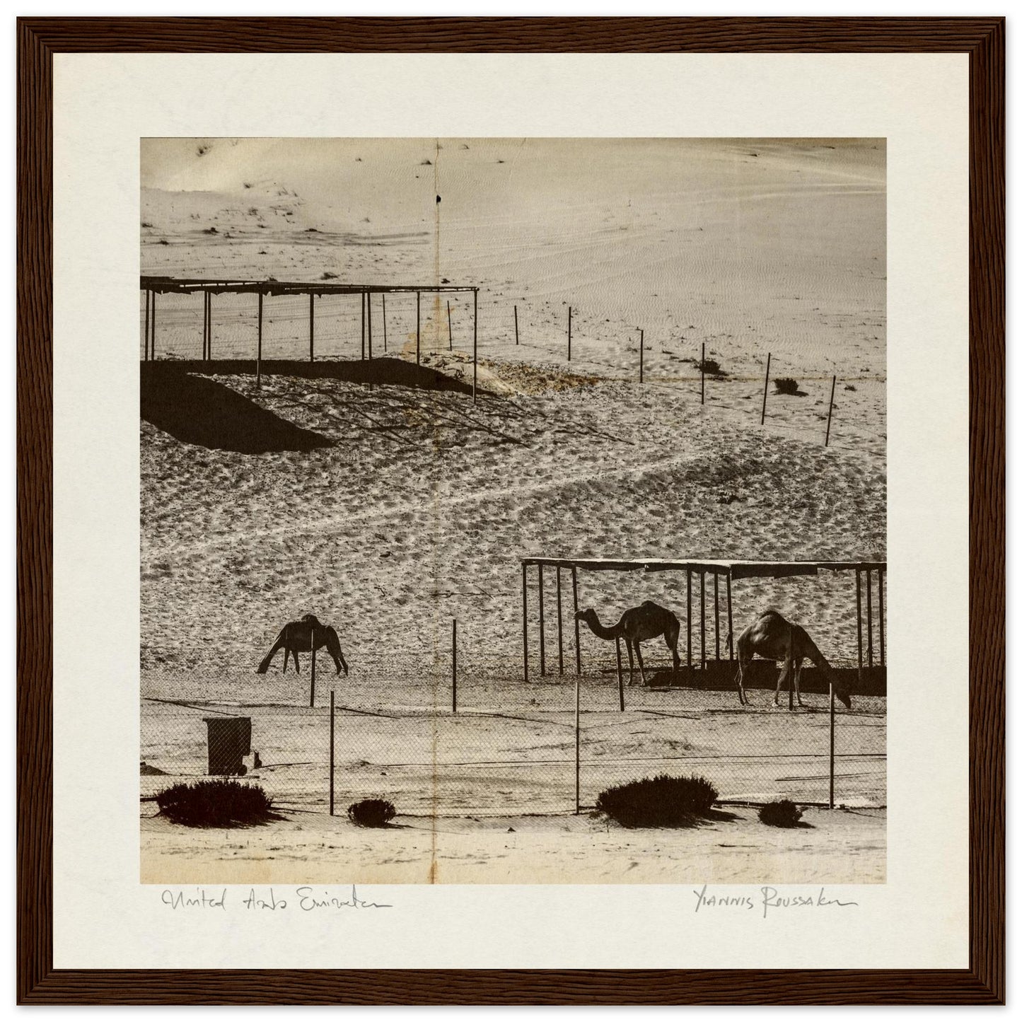 acea9219-caab-45bb-9690-f6c6487aea4e