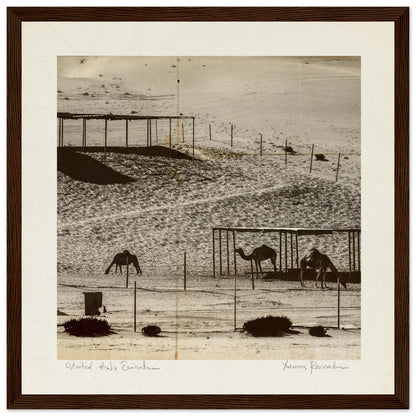 acea9219-caab-45bb-9690-f6c6487aea4e