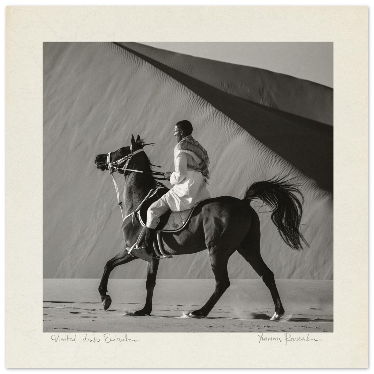 ad13a14f-5358-43ea-93e7-8f0e221fbfb9