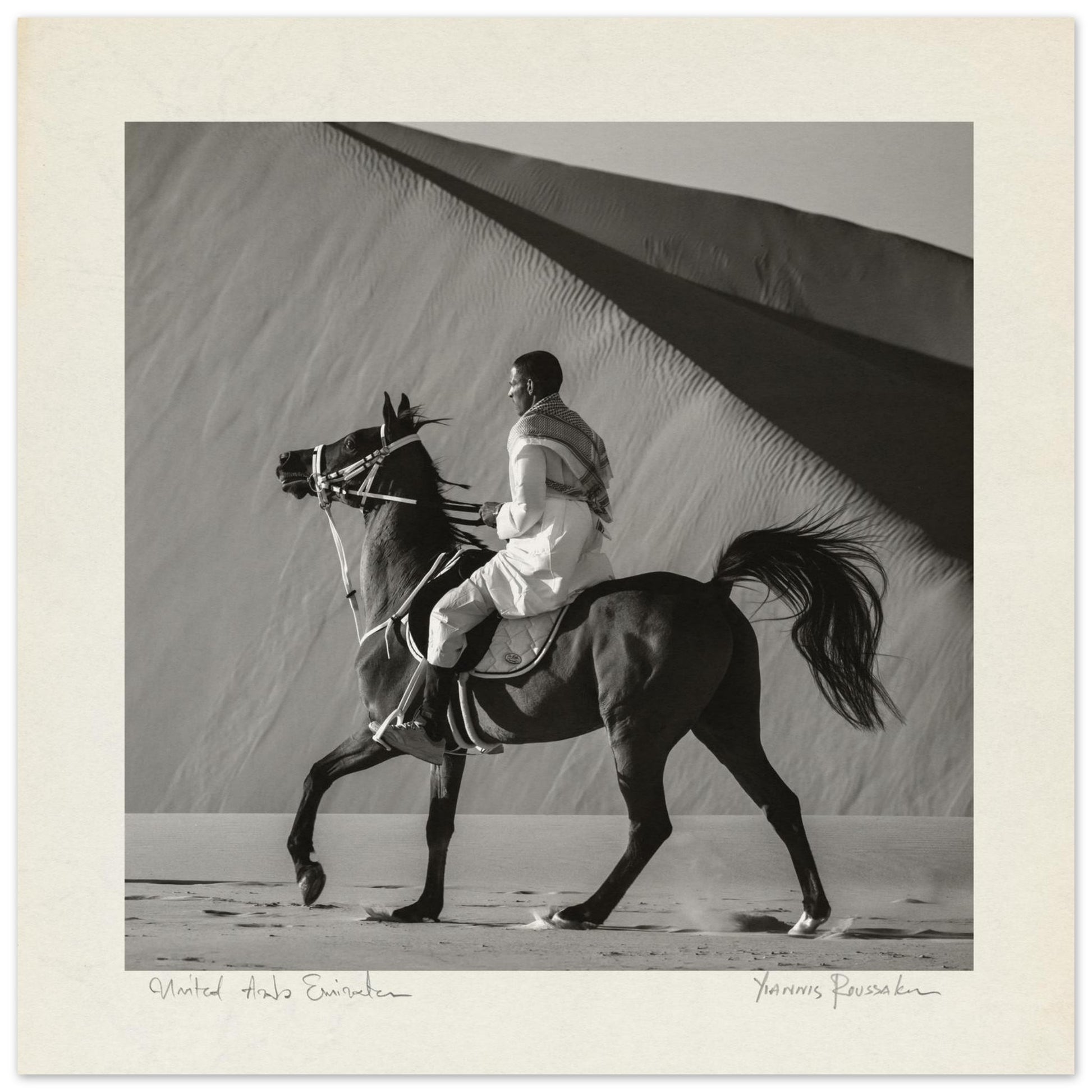 ad13a14f-5358-43ea-93e7-8f0e221fbfb9