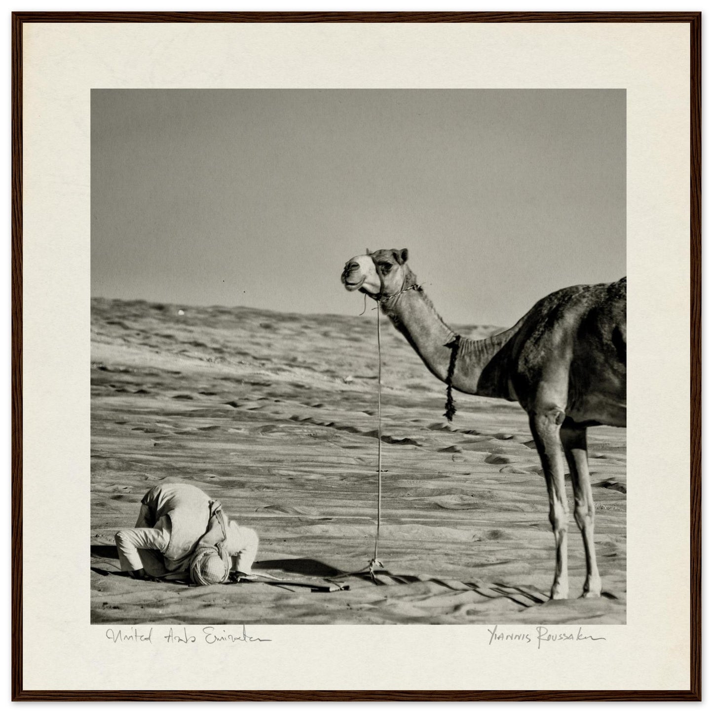 ad582b58-c579-4a74-bc6e-8775328a1ad7