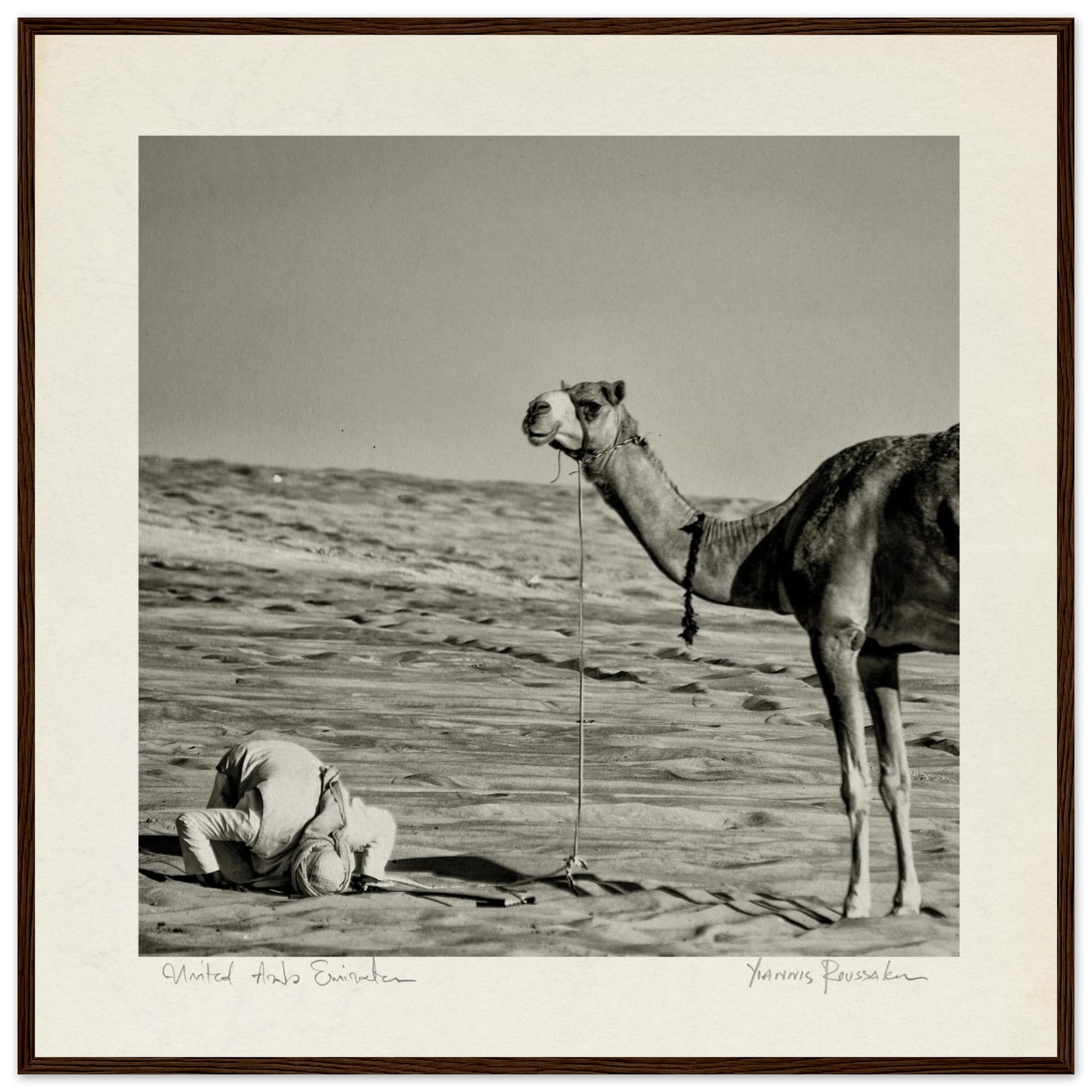 ad582b58-c579-4a74-bc6e-8775328a1ad7