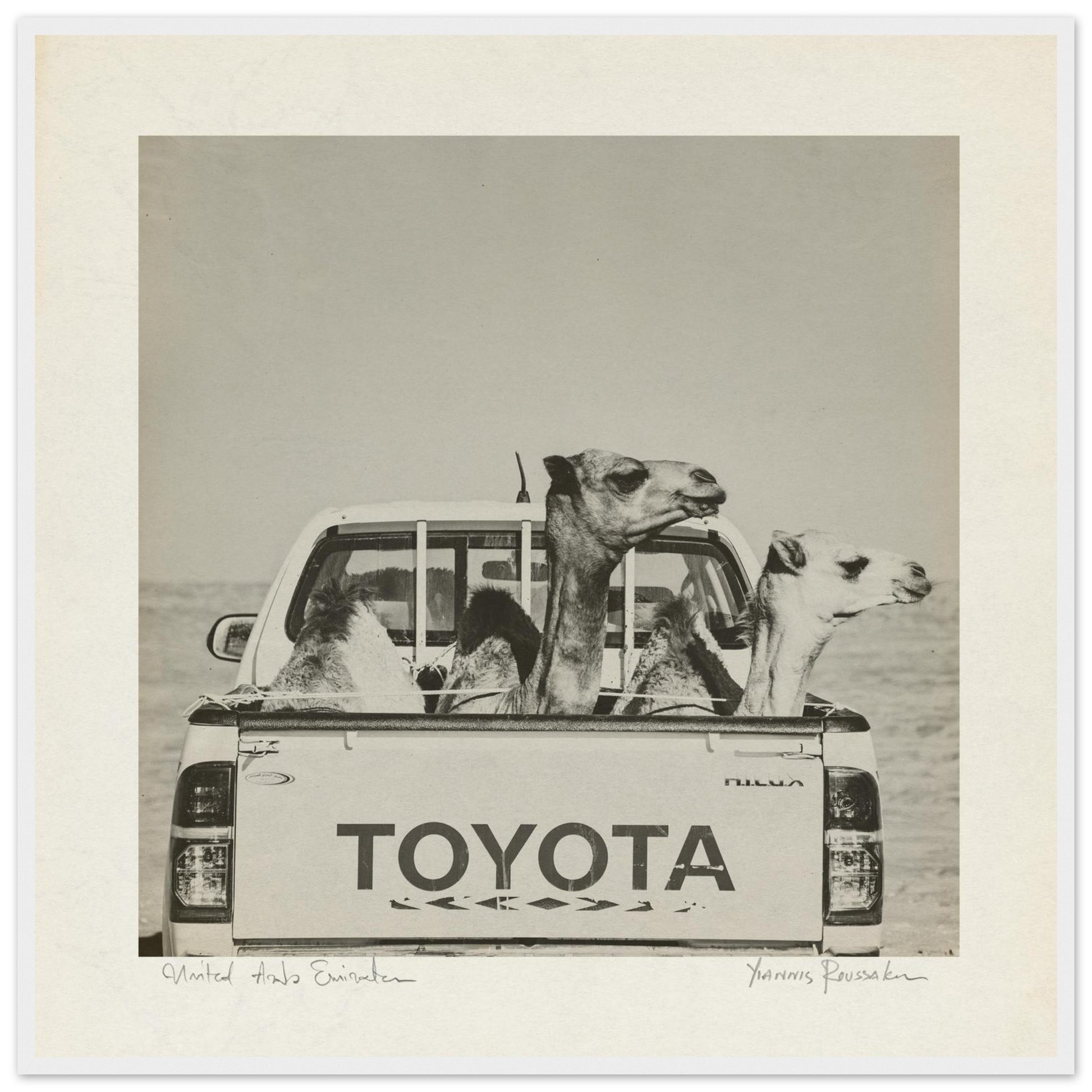 adb1672e-fc72-447b-bc31-c4fc3b3c166f