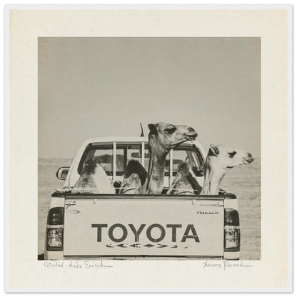 adb1672e-fc72-447b-bc31-c4fc3b3c166f