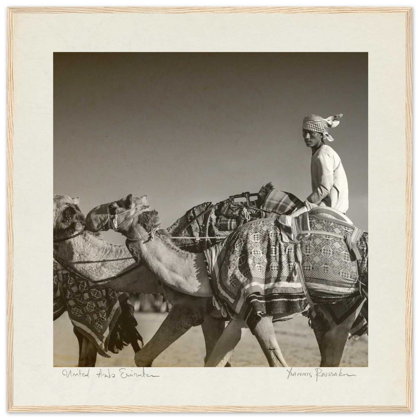 ade6d909-2365-4ff2-8caf-045238f636bc