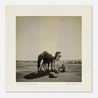 b0ad983c-7d5d-46c8-8c74-869303ab35d7