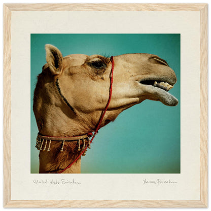 b13a6265-eb0e-431b-899c-7908a0036d4c