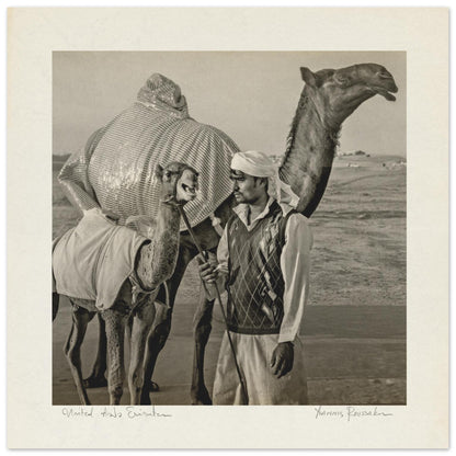 b17725df-8f00-411c-9789-767169a4ba5d