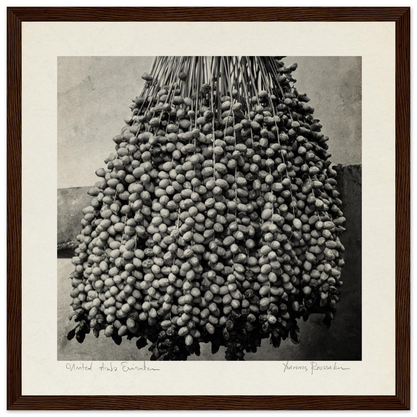 b3a23aa5-32bf-4250-8a25-4a2195c1d8b4