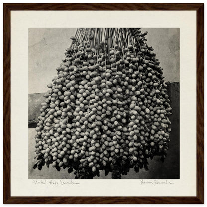 b3a23aa5-32bf-4250-8a25-4a2195c1d8b4