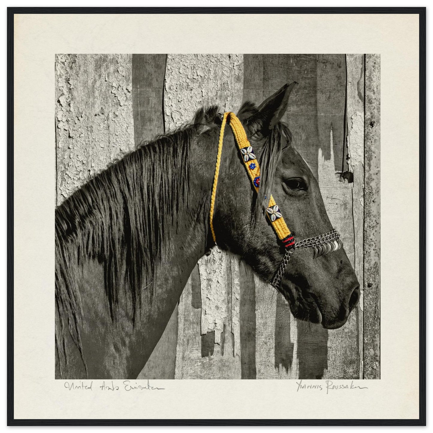 b5c61a77-fe7d-4a7a-b495-9aab25cf2da9