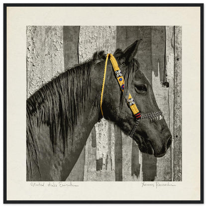 b5c61a77-fe7d-4a7a-b495-9aab25cf2da9