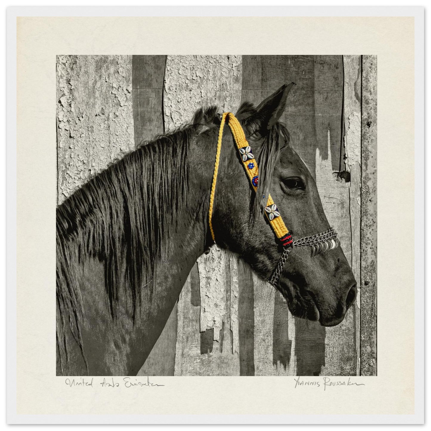 b5dcece9-28f9-4839-9249-9eeea27841fe