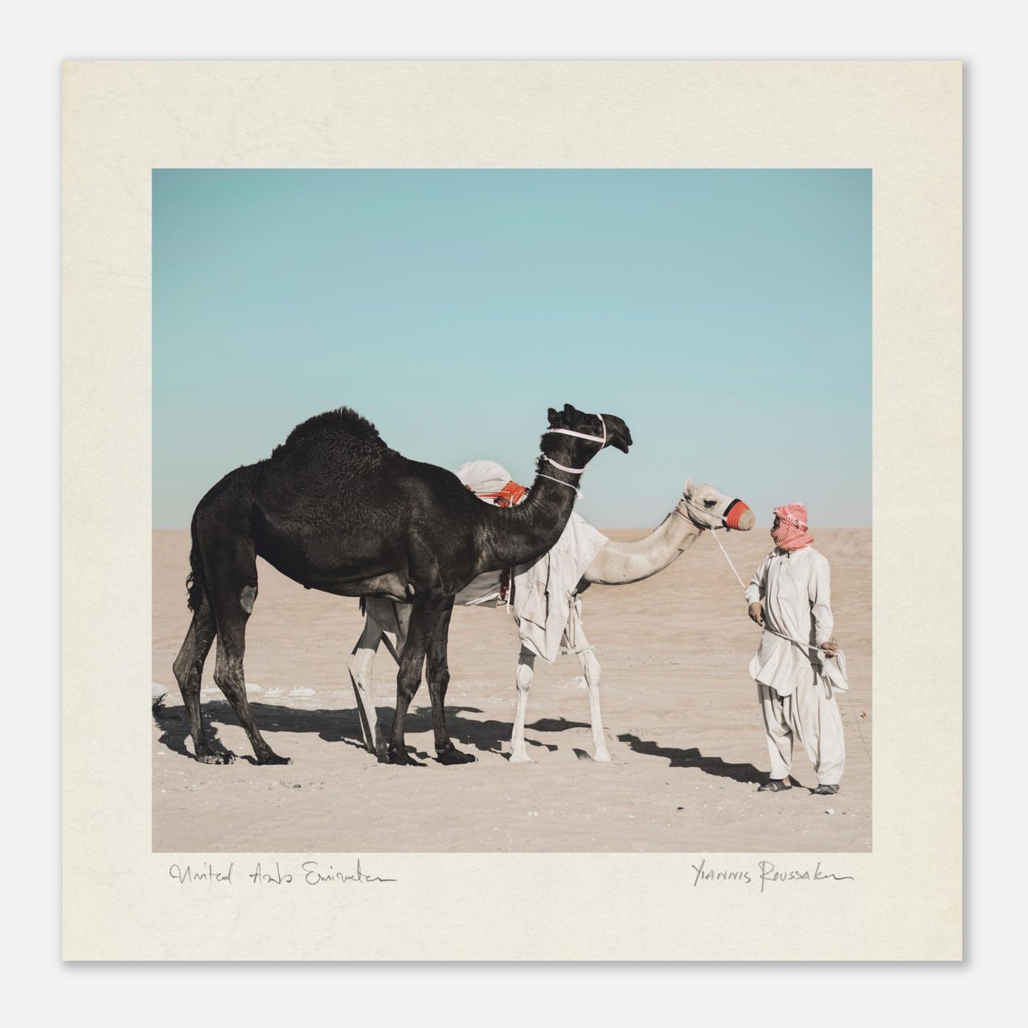 b6e0f546-a256-4d09-a27c-abf3961eb4cb