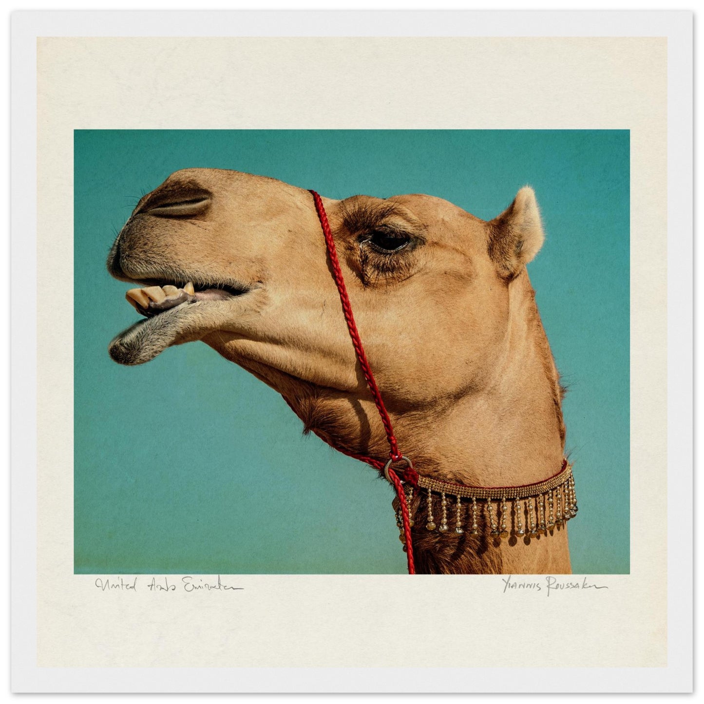 b73e6074-50ea-45b5-a55d-f12997b19d19