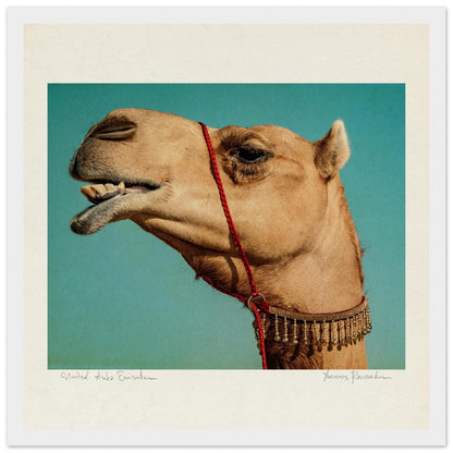 b73e6074-50ea-45b5-a55d-f12997b19d19