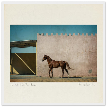 b7620092-ca3d-4ef9-bc65-23c2b2c36ca8