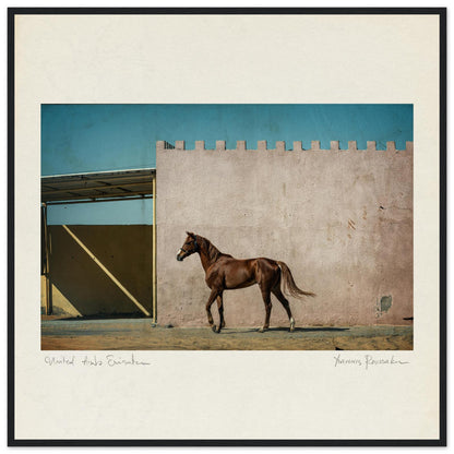 b80b0c7a-a0d7-47ef-ade2-1e558962b7e6