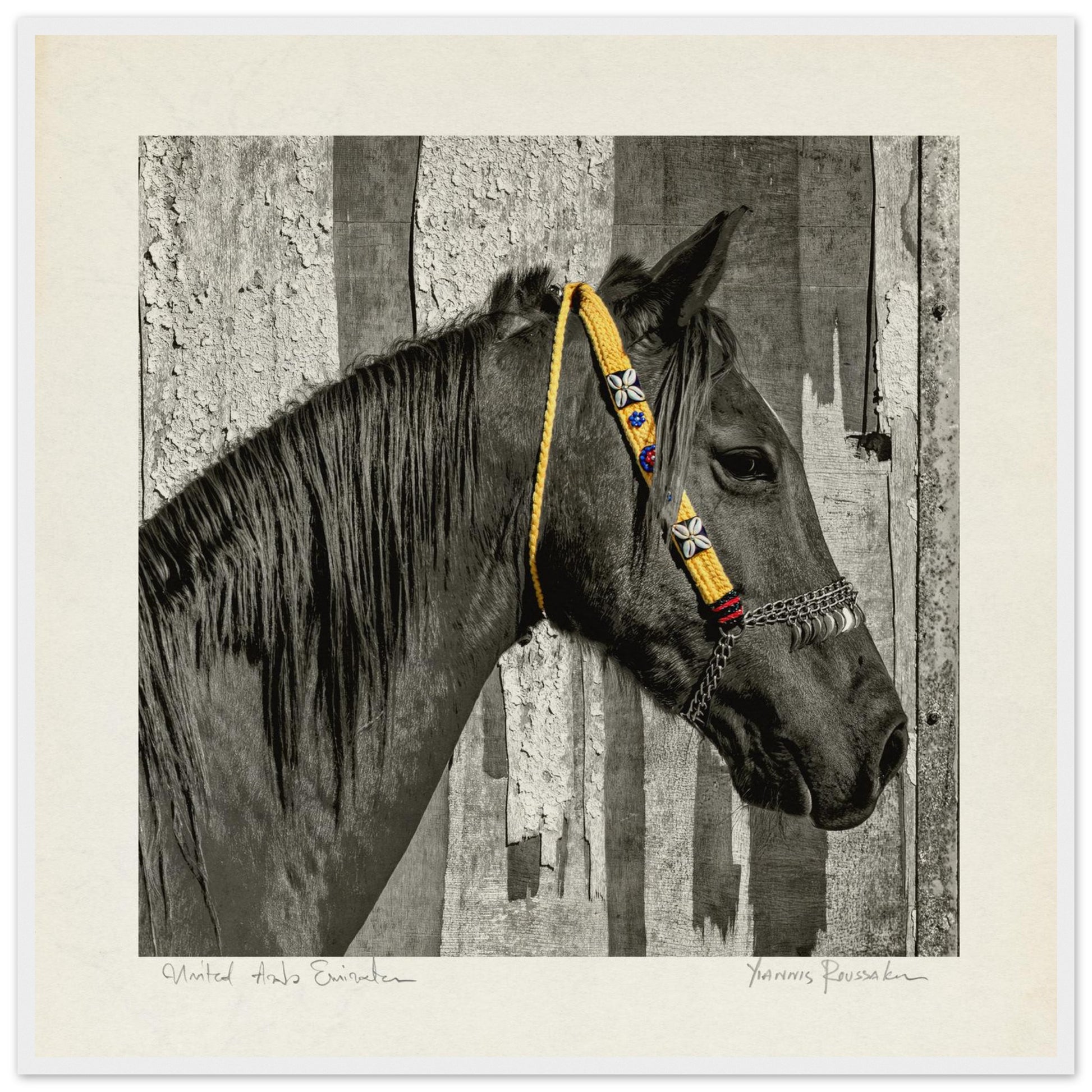 b8380237-f63b-46e7-bb12-291108732717