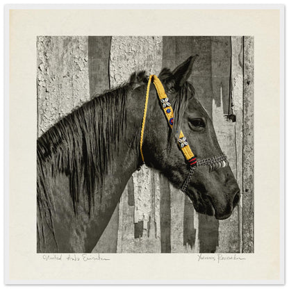 b8380237-f63b-46e7-bb12-291108732717