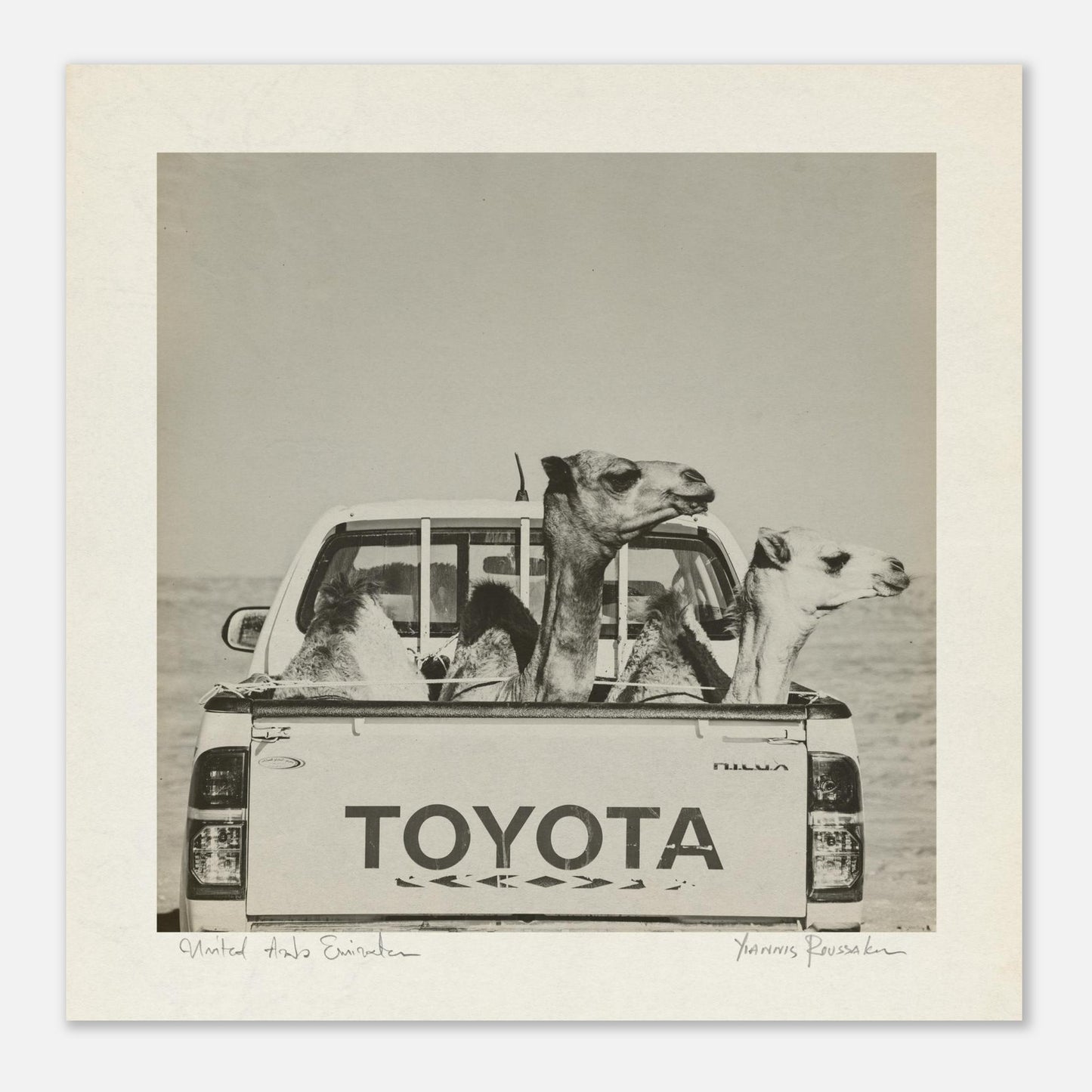 b83a7a78-4f28-41ea-9c57-d917744d30d0