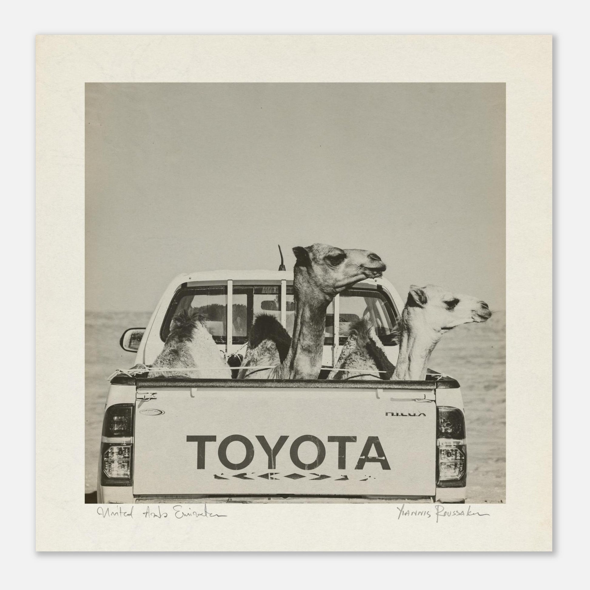 b83a7a78-4f28-41ea-9c57-d917744d30d0