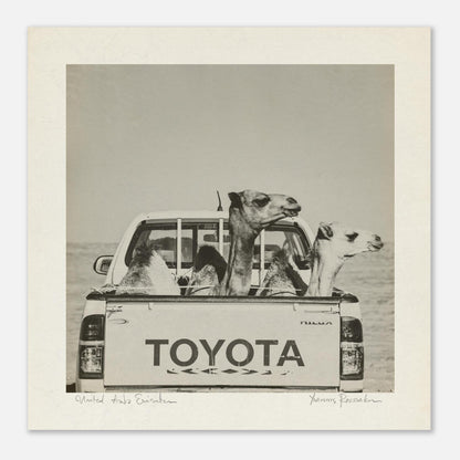 b83a7a78-4f28-41ea-9c57-d917744d30d0