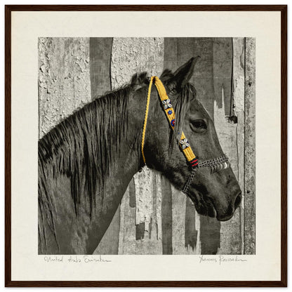 b880baa6-c3e8-46b4-b05c-94ab1fb7b954