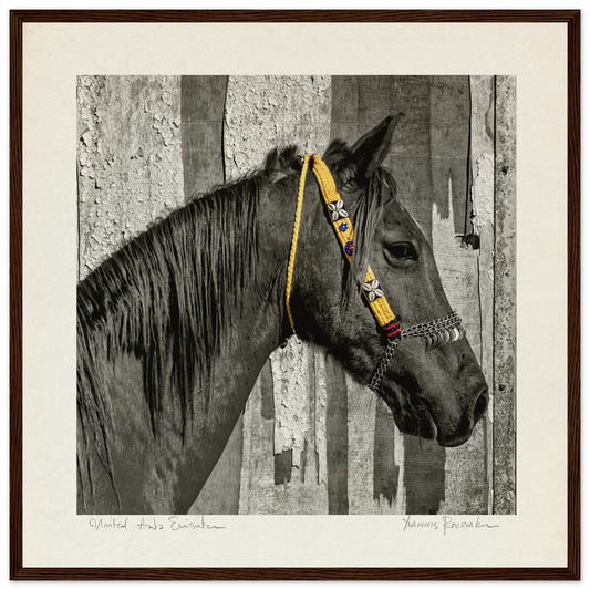 b880baa6-c3e8-46b4-b05c-94ab1fb7b954