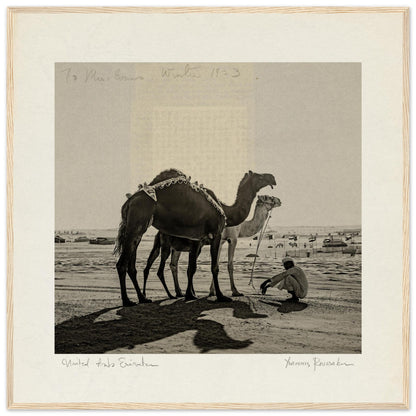 b9183dee-3a69-4ea6-a6f0-ada51e624eda