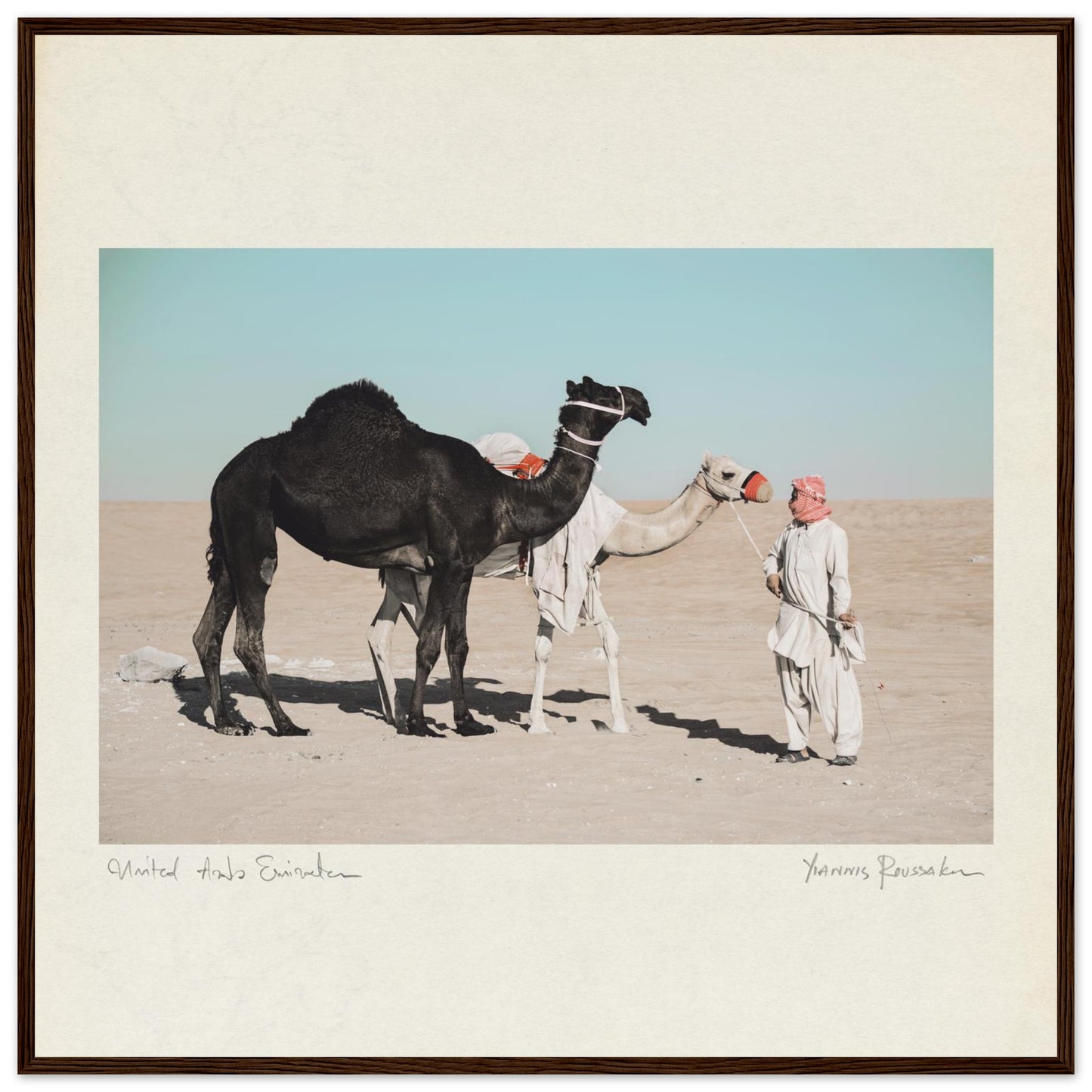 b95f6dd5-8f6f-47b4-9705-fb14b2ce1046