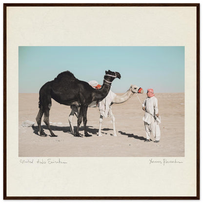 b95f6dd5-8f6f-47b4-9705-fb14b2ce1046