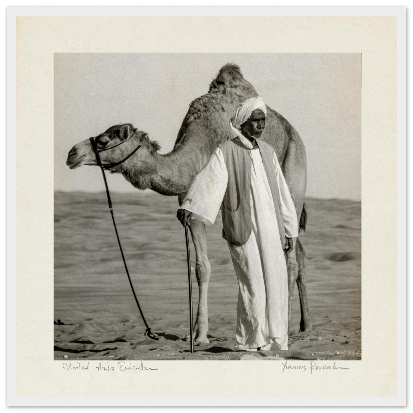 b95fde53-2bb8-4347-8ab0-7146181564c8